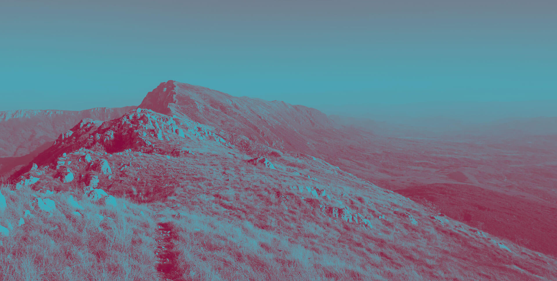 allUpp - Ihr Partner für Salesforce Lizenzen