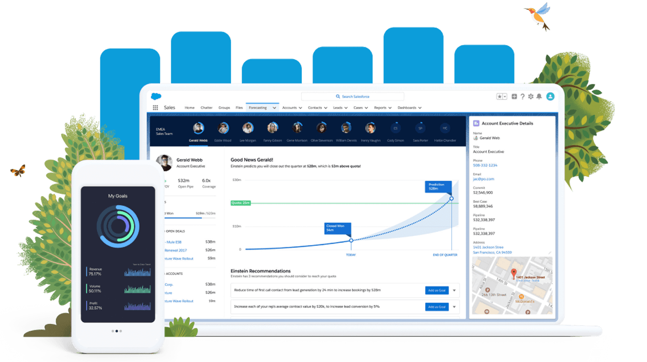 salesforce-business-intelligence salesforce-business-intelligence
