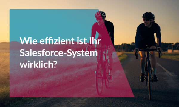 Health Check, Wie effizient ist ihr Salesforce-System wirklich?